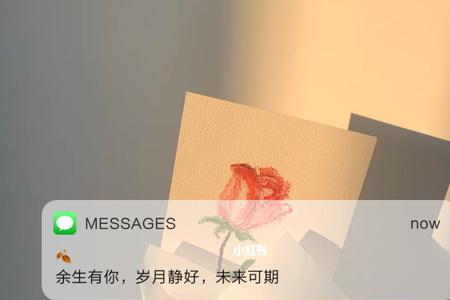 余生可期成语的意思
