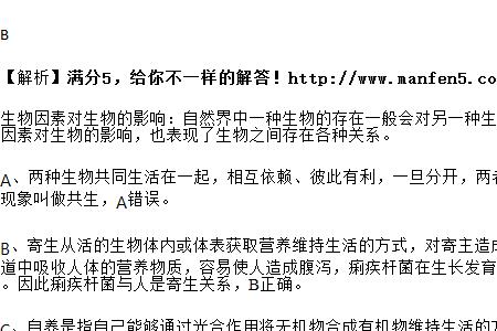 腐生生活什么意思