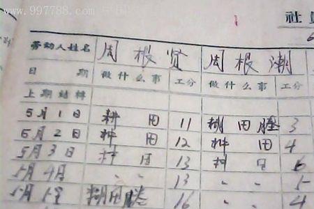 工分制度实行了几年