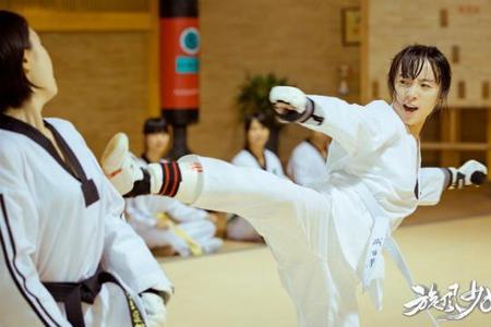 旋风少女是跆拳道还是元武道