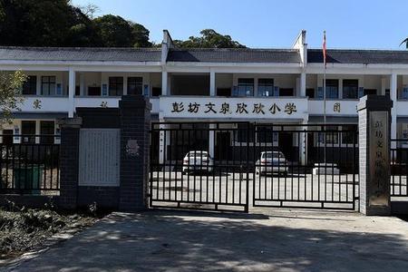 乡村小学大概多大