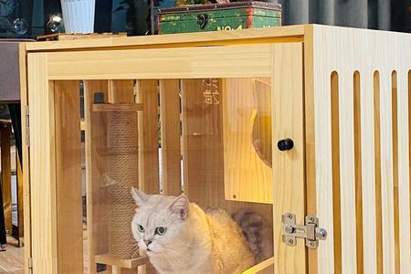 木制猫笼的优缺点