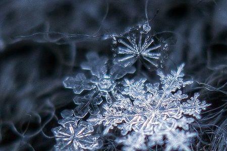 雪花飘落什么意思