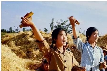 北大荒最后结局