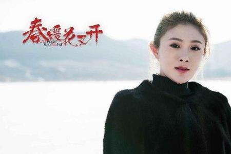 张宏娜演员资料