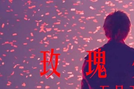 王者荣耀玫瑰少年谁唱的