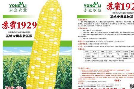 盈亿玉米种子哪个品种好