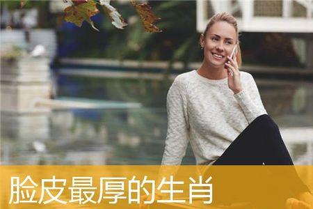 脸皮厚换一个文雅的词