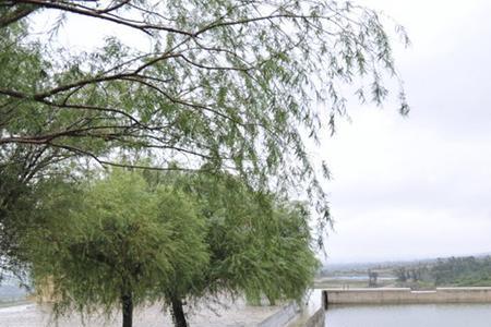 有才哥水库游泳是什么电视剧