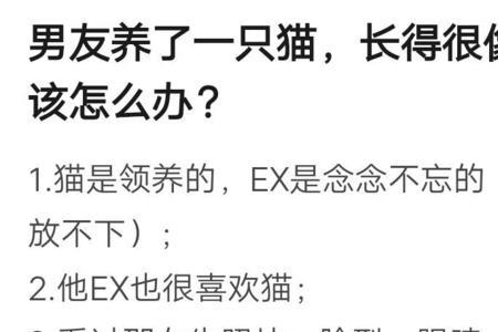 噗嗤怎么回复