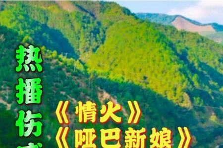 伤心的酒杯原唱