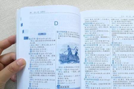 荒野怎么造句三年级