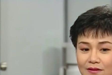 刑事侦缉档案子晴扮演者是谁