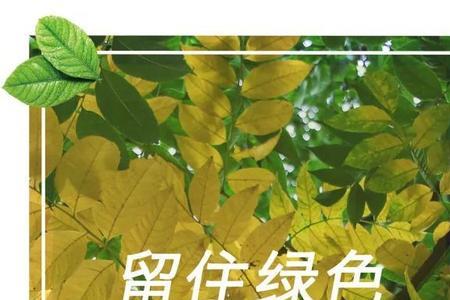 前人栽树下一句整首诗