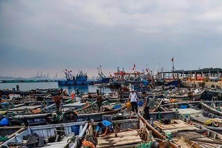 海沧哪个码头有海鲜卖