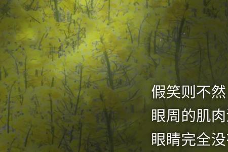跟一个男生聊天会不自觉的笑
