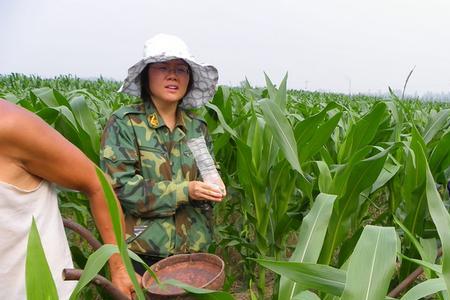 小麦专用肥能不能用到玉米地