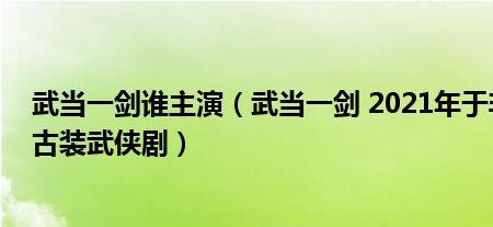 武当林雪娇扮演者