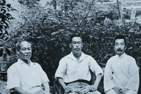 丁宝桢是谁的女婿