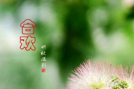 相思树祭夫古诗
