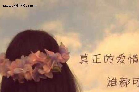感情替代品是什么意思