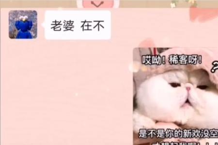 女友说讷讷什么意思