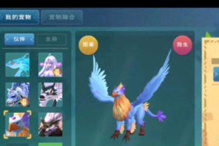创造与魔法祈愿灵翼6阶实战