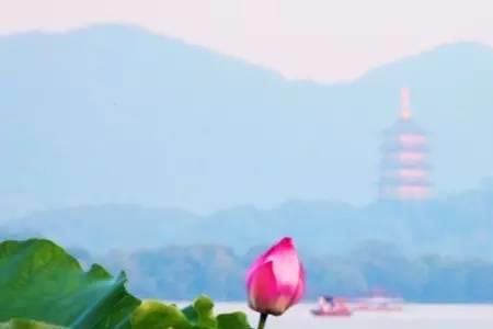 歌曲人间西湖的含义
