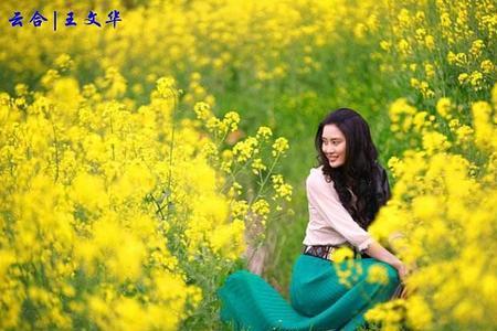 春风是怎样地吹