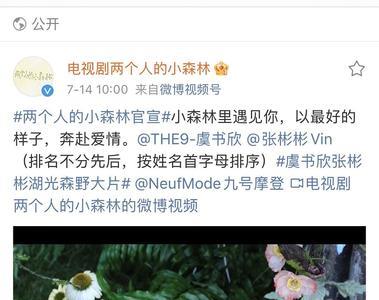 两个人的小森林怎么只更新一集