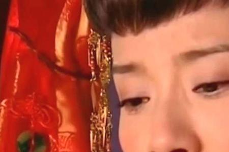 真爱一世情这首歌表达什么