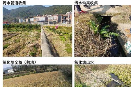 农村生活污水排放率80%的原因