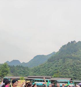 友情的脚步来来往往是什么意思