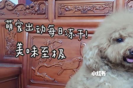 萌宠出动这个牌子怎么样