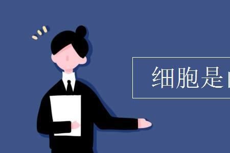 魏尔肖提出什么结论