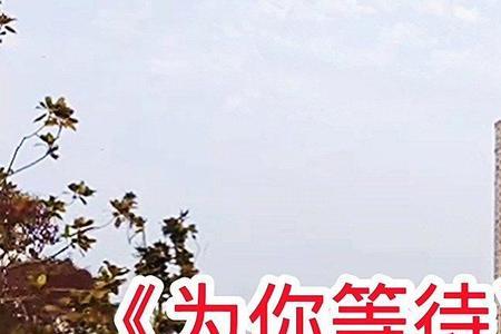 为你等待相关词语