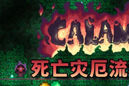 泰拉瑞亚灾厄什么职业最好