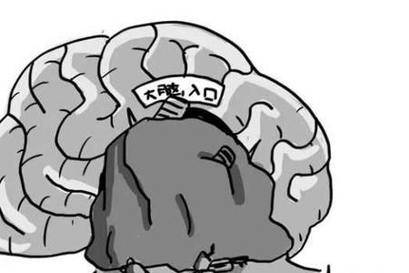 氧气是怎样进入大脑