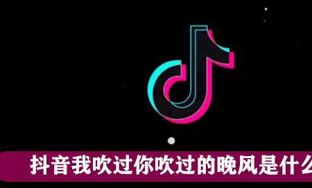 吹过你的风歌曲原唱是谁
