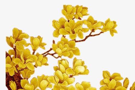 什么花是金色的