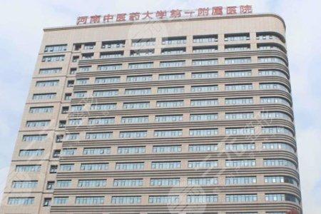 缔丽读音