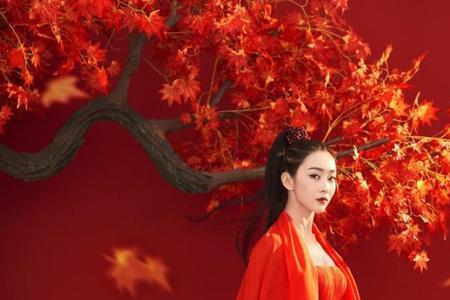 侠女风范什么意思