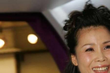 田震几段婚姻