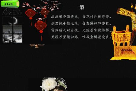 饮酒不醉最为高什么意思