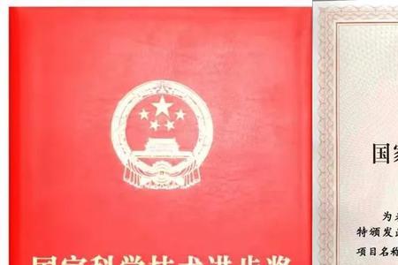 国奖是什么