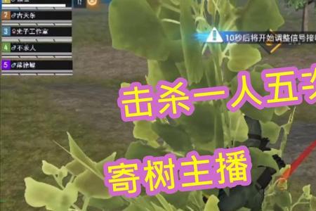 闪电尖兵大招敌人能不能看见