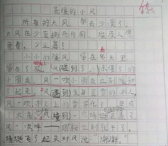 风雨前面可以加什么动词