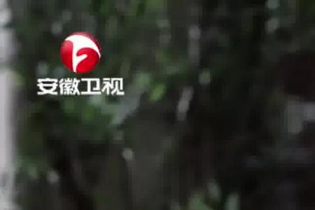 四合院三大妈扮演者