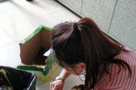 大年初二可以在家杀鸡吗