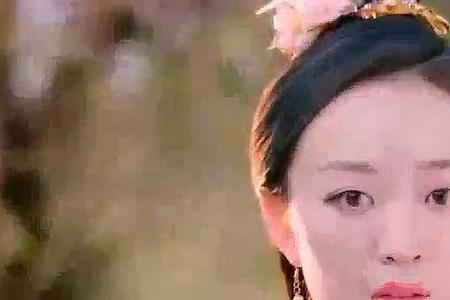 有才人是什么意思